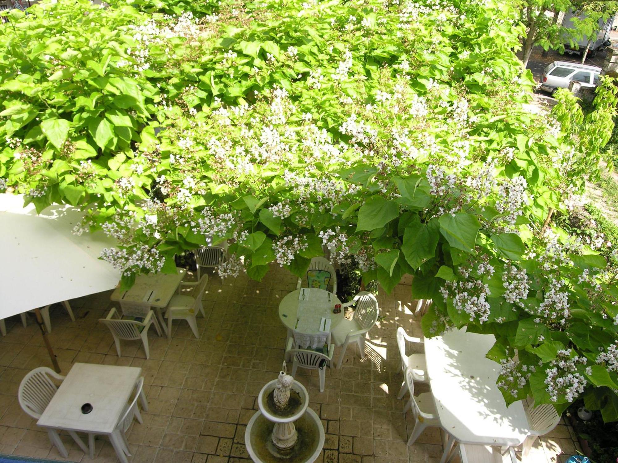 Appart'Hotel Les Tilleuls Saint-Macaire Exterior photo